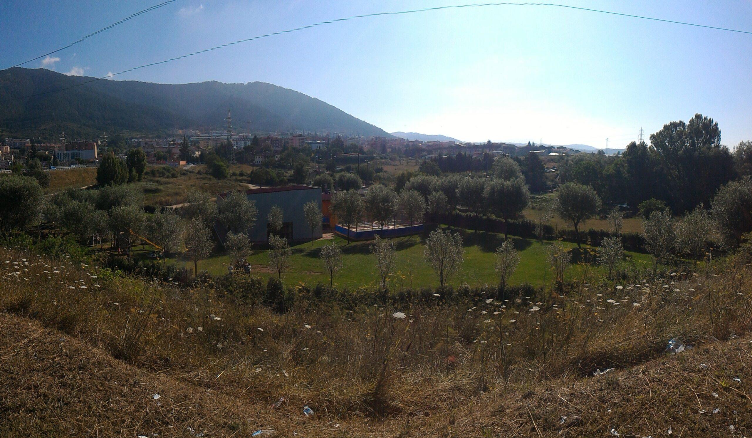Image Alt